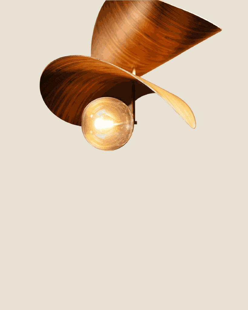 18.png