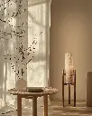 Stellar - Dark Brown 